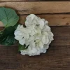 Lifelike Hydrangea