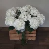 Hydrangea flower arrangement lifelike