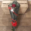 Red Rose - Single