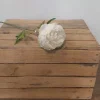 Lifelike cream peony