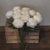 Lifelike cream peony display