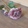 Vintage Ranunculus