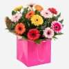 Colour Temptation - bouquet of mixed gerberas