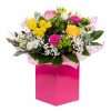 Mamma Mia - a mix of vibrant coloured flowers hand tied in water