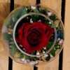 One Love - Red rose vase arrangement