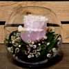 Endless Love - single pink rose in a vase