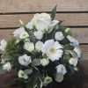 Simplicity - white & green ceramic pot flower arrangement