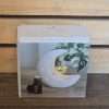 Moon Oil Burner in a box